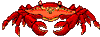 animated-crab-image-0002